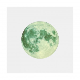 ASTROMEDIA DER NACHTLEUTENDE MOND 